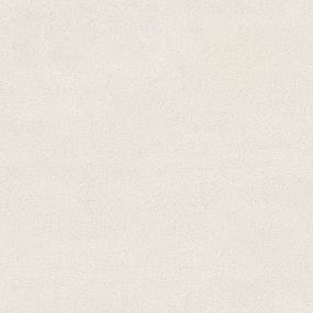 Majestic Peak - Sand Dollar Swatch