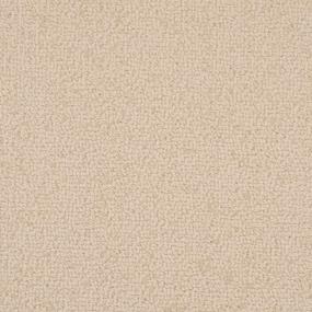 Waimea - Sand Dollar Swatch