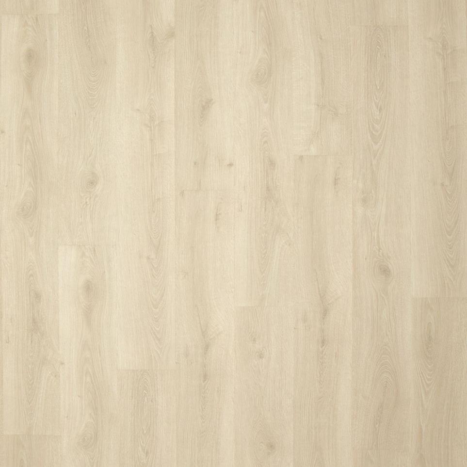 Lantern Swatch