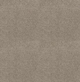 Chincoteague - Caraway Swatch
