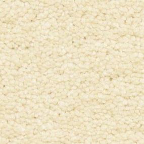 Concha Zoomed Swatch