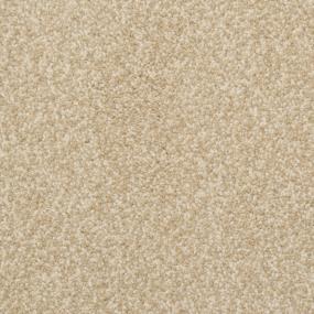 Cozy - Portico Swatch