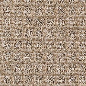 Ancient Oak Swatch Thumbnail