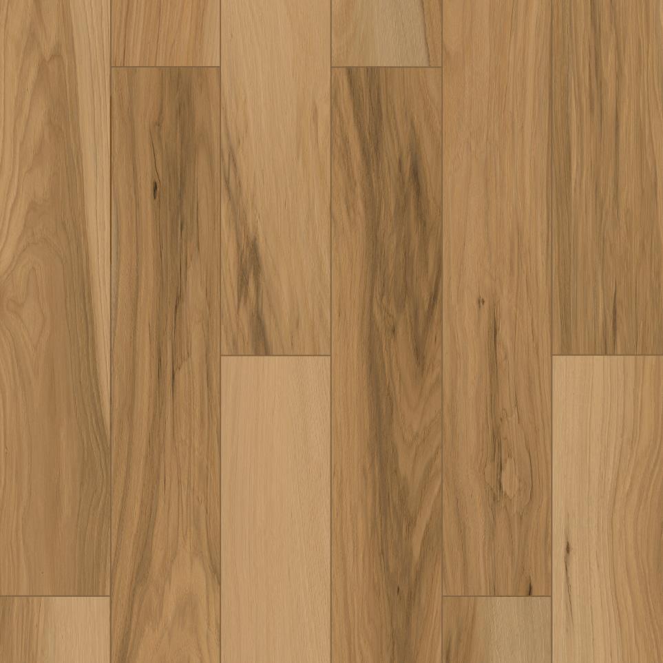 Adobe Swatch