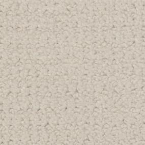 Turtle Dove Zoomed Swatch