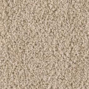 Sometimes Zoomed Swatch