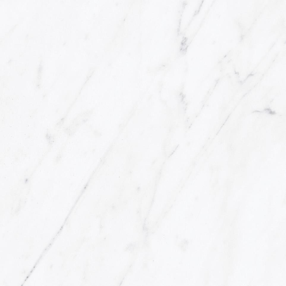 Marble Attache Lavish Square 32X32 MT by Daltile - Diamond Carrara Matte