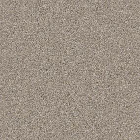 Admiration - Windsor Swatch