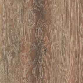 Chestnut Bark Zoomed Swatch