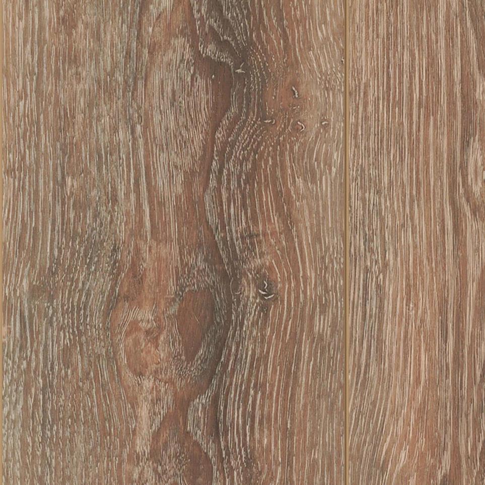 Chestnut Bark Zoomed Swatch