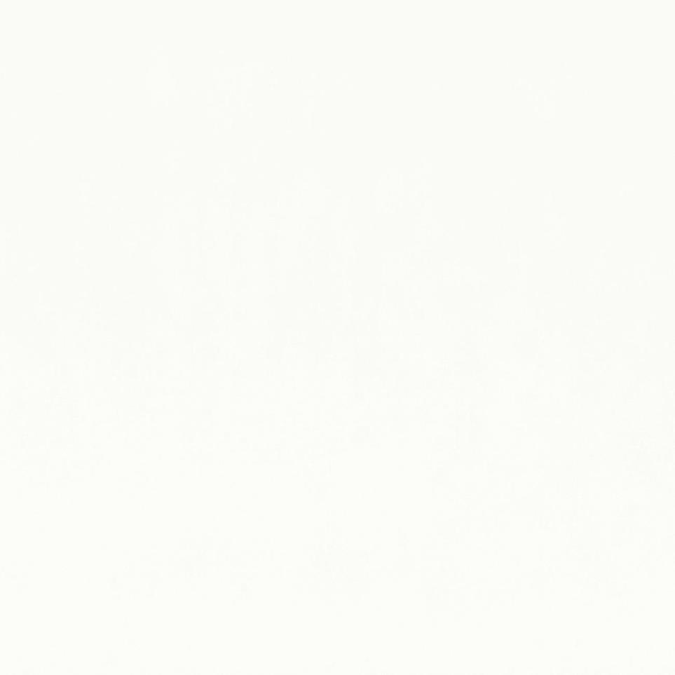 Farrier Rectangle 2.5X15 ST by Bel Terra - Cremello Satin