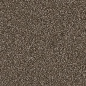 Pinscher Swatch Thumbnail
