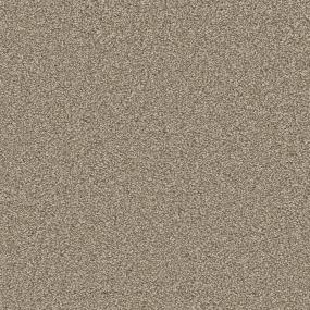 Worn Path Zoomed Swatch