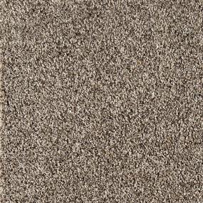 Twig Zoomed Swatch