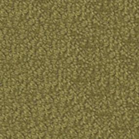 Legends/36 - Olive Swatch