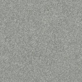 Ornamented - Schnauzer Swatch