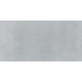 Cohesion Rectangle 24X48 Pl - Light Grey Polished Swatch