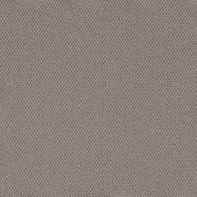 Cozy Beige Swatch