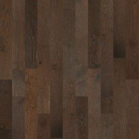 Mt Palomar - Rockefeller Swatch
