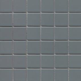 Silicon Swatch Thumbnail