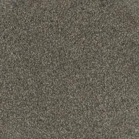 Trendsetter II - Imperial Sable Swatch