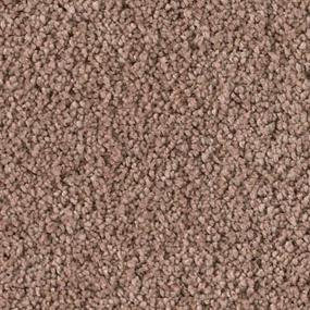 Soft Excellence - Abloom Swatch