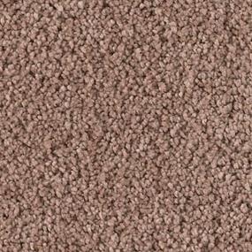 Abloom Zoomed Swatch