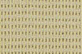 Daisy May Swatch Thumbnail