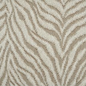 Cowrie Swatch