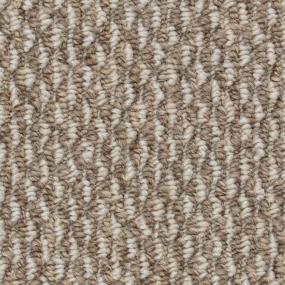 Radiance - Castlepoint Swatch