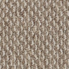 Castlepoint Zoomed Swatch
