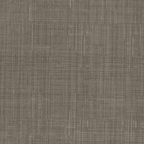 Bunker Hill - Gray Brown Swatch