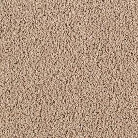 True Khaki Swatch Thumbnail