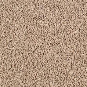 True Khaki Zoomed Swatch