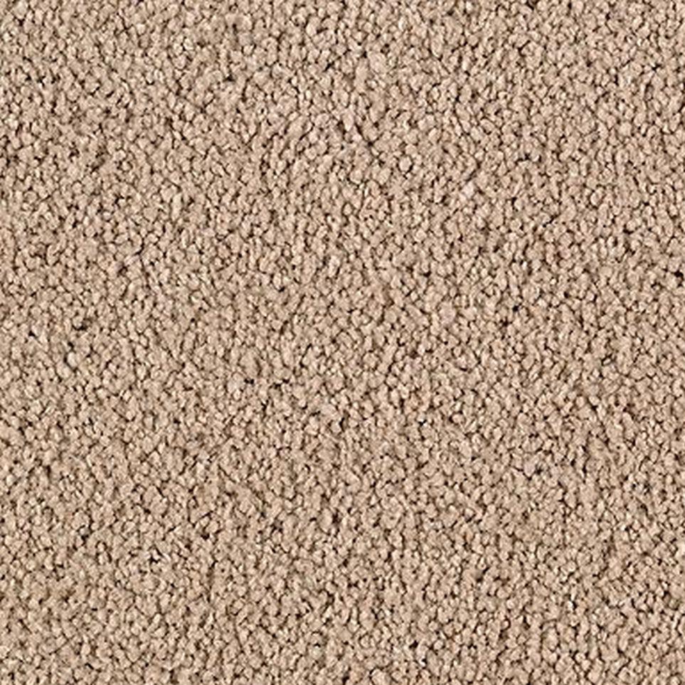 True Khaki Zoomed Swatch