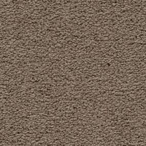 Livingston Zoomed Swatch