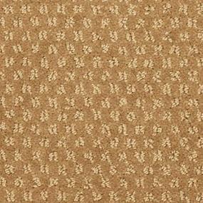 Ferris Zoomed Swatch