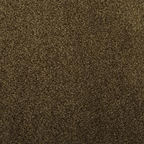 Boogie Swatch