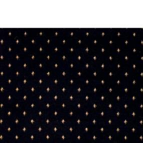 Midnight Zoomed Swatch