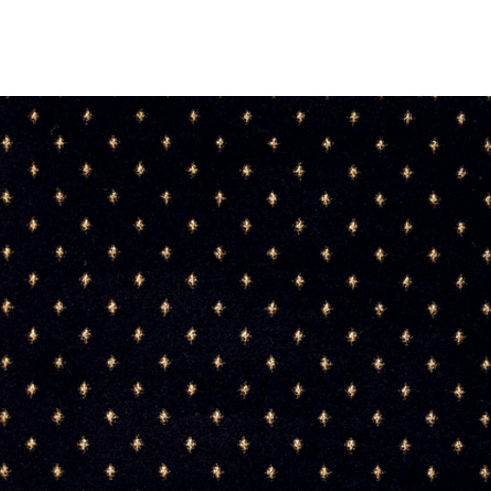 Midnight Zoomed Swatch