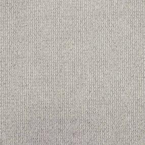 Hollywood - 12x95 - Vista Swatch