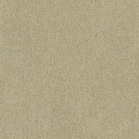 Tribute - Carmel Swatch