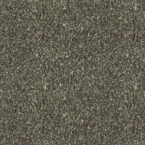Ranger Zoomed Swatch