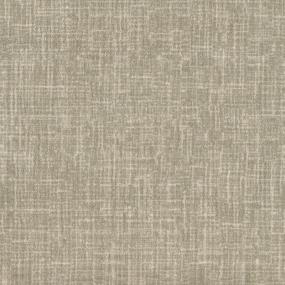 Classico - Sweet Pea Swatch