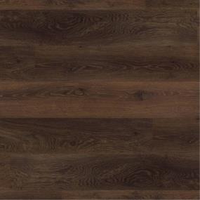 Aged Oak Swatch