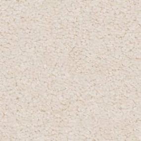 Sibyl Taproom - Traditional Swatch