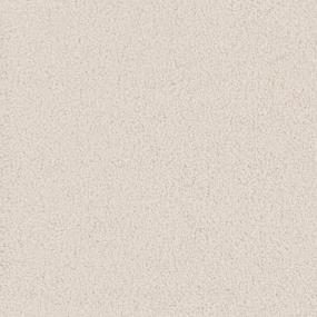 Traditional Zoomed Swatch