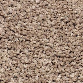 Hickory Tan Swatch Thumbnail