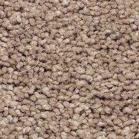 Hickory Tan Zoomed Swatch