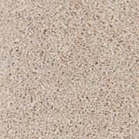 Bifrost Plus - Tropical Sand Swatch
